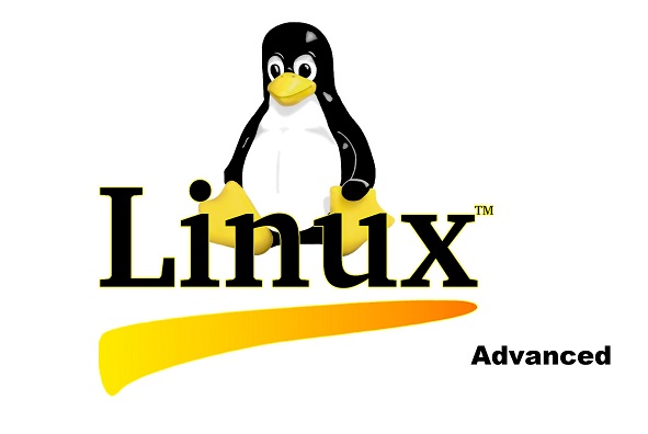 Tự học linux nâng cao